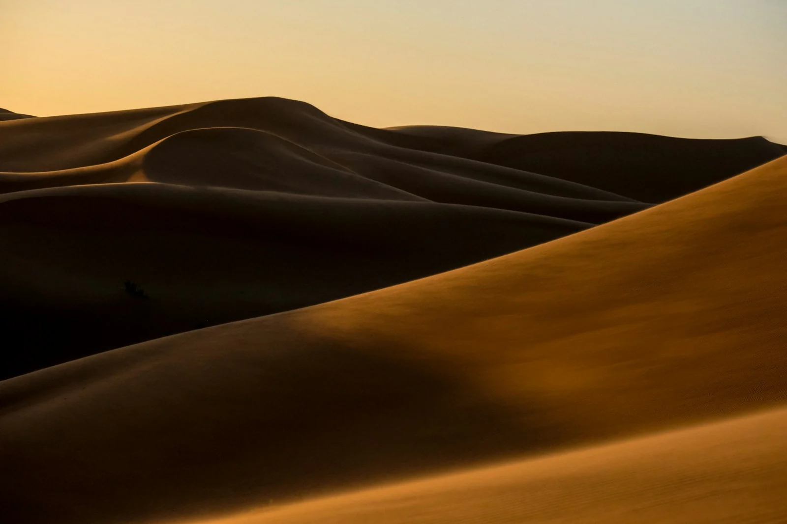 كثبان صحراوية وضوء الشمس