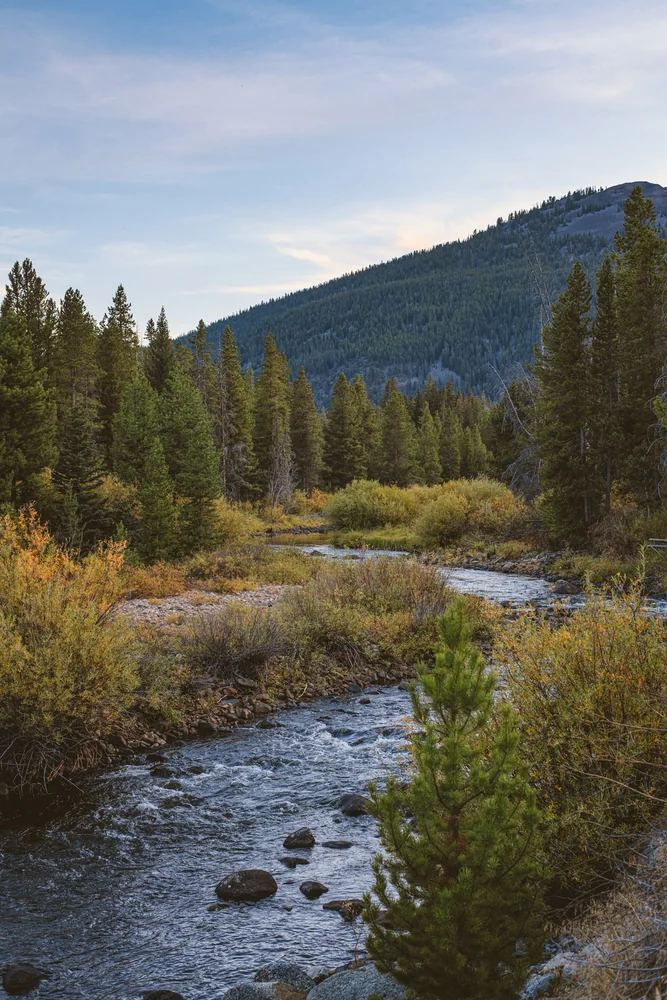 A river among trees and mountains