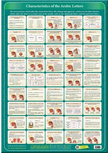 لوحة صفات الحروف العربية - إنجليزي قياس 50×70