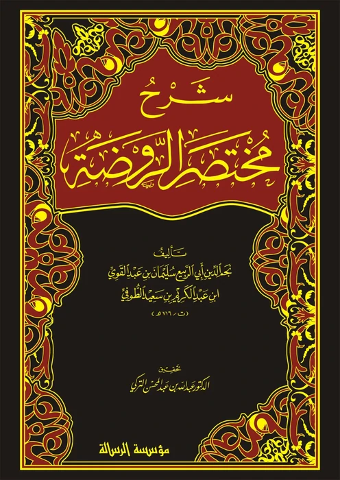 شرح مختصر الروضة 1/3