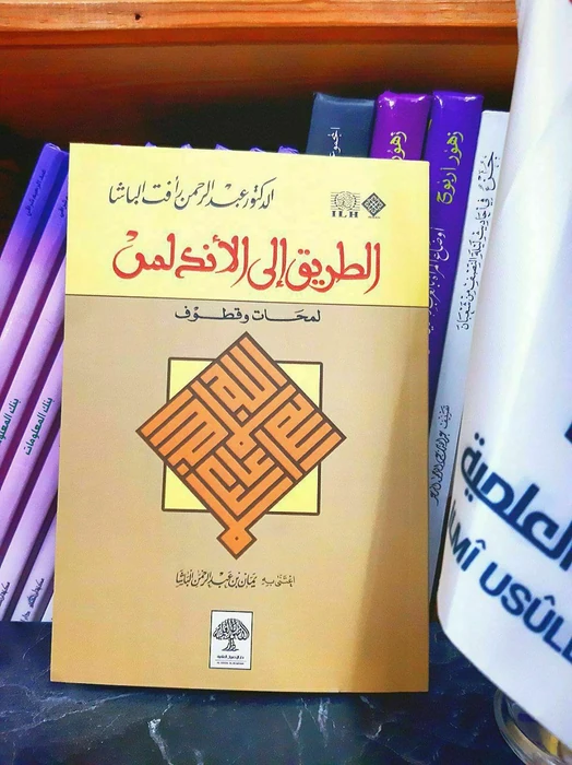 الطريق إلى الأندلس لمحات وقطوف